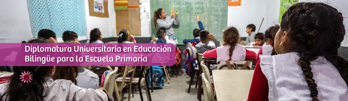 banner-desktop-diplo-bilingue-primaria
